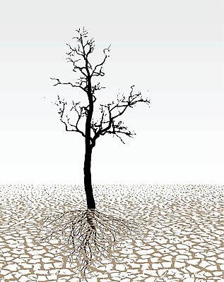 EPS 해외이미지 나무 계절 지구 일러스트 날씨 건조 환경 사막 가뭄 시들음 땅바닥 생태학 재앙 해외202004 해외일러스트 식물 교육 바닥 파일형식 벡터 이미지허브