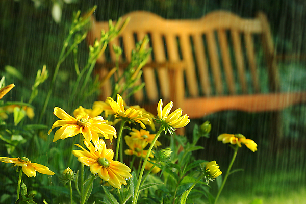 포토 JPG 해외이미지 식물 계절 꽃 백그라운드 잎 패턴 공 자연 아침 추상 풍경 잔디 사람없음 야외 초록색 물 여름 빛 환경 정원 봄 젖음 흐름 안개 성장 물방울 신선 뜨거움 투명 액체 떨어짐 이슬 작음 수분 묘사 질감 내추럴 샤워실 해외202004 해외포토 주간 자연요소 컬러 컨셉 무늬 날씨 크기 생태계 샤워시설 파일형식 이미지허브
