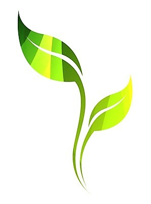 EPS 해외이미지 나무 식물 잡화 커피 선 잎 일러스트 자연 미술 초록색 여름 빛 농작물 노란색 디지털 봄 줄무늬 차 심볼 사인 그림 에코 친환경 고립 생태학 활자 해외202004 해외일러스트 계절 교육 음료 컬러 무늬 농업 문화예술 환경 생태계 활자판 파일형식 벡터 이미지허브