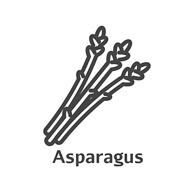 EPS 해외이미지 식물 손 디자인 계절 음식 줄기 다이어트 채소 일러스트 재료 자연 건강 요리 씨앗 목재 그래픽 초록색 세계 농장 마을 주방 봄 샐러드 수확 흰색 시골 신선 시장 농부 상품 다발 먹기 심볼 유기농 아스파라거스 고립 숙성 채식주의자 해외202004 해외일러스트 나무 직업 웰빙 컬러 농업 모션 신체부위 생태계 채식 파일형식 벡터 이미지허브