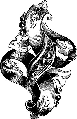 EPS 해외이미지 꽃 선 일러스트 미술 검은색 수확 흰색 그림 판화 브로치 해외202004 해외일러스트 식물 컬러 농업 장신구 문화예술 파일형식 벡터 이미지허브