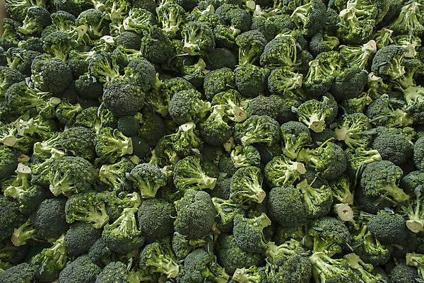 포토 JPG 해외이미지 1 라이프스타일 줄기 백그라운드 농업 다이어트 채소 건강 요리 사람없음 초록색 농작물 정원 식사 저녁식사 활발 샐러드 흰색 신선 시장 수프 브로콜리 오브젝트 유기농 양배추 내추럴 고립 숙성 채식주의자 해외202004 해외포토 식물 웰빙 산업 음식 컬러 컨셉 생활 채식 파일형식 이미지허브