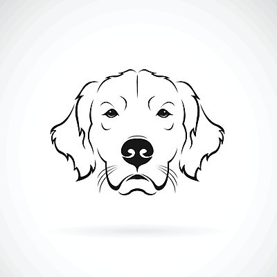 EPS 해외이미지 일러스트 사람없음 반려동물 검은색 흰색 개 골든리트리버 강아지 해외202004 해외일러스트 동물 컬러 포유류 리트리버 파일형식 벡터 이미지허브