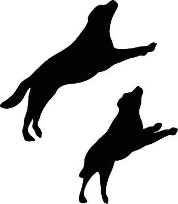 EPS 해외이미지 모양 동물 실루엣 새끼 포즈 일러스트 자연 그림자 사람없음 그래픽 검은색 개 강아지 스케치 흰배경 사냥개 윤곽 송곳니 고립 엘리먼트 해외202004 해외일러스트 컬러 백그라운드 포유류 촬영기법 미술 반려동물 흰색 치아 생태계 파일형식 벡터 이미지허브