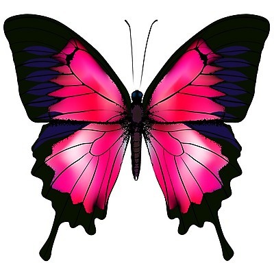 EPS 해외이미지 동물 꽃 야생동물 나비 곤충 백그라운드 날개 일러스트 자연 미술 야외 그래픽 빨간색 여름 빛 환경 보라색 검은색 봄 활발 흰색 오픈 숲 자주색 싱글 그림 생물학 야광 나방 강렬 거짓 고립 대칭 동물상 환상 해외202004 해외일러스트 식물 계절 교육 컬러 컨셉 문화예술 조형물 생태계 파일형식 벡터 이미지허브