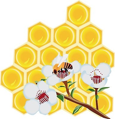 EPS 해외이미지 모양 디자인 배너 산업 음식 곤충 백그라운드 컨셉 패턴 농업 오렌지 일러스트 자연 세포 건강 그래픽 여름 농장 노란색 정원 흰색 머리빗 황금 달콤 꿀벌 상품 벌 철 유기농 질감 육각형 꿀 벌집 내추럴 고립 밀랍 엘리먼트 왁스 해외202004 해외일러스트 도형 동물 웰빙 계절 컬러 무늬 과일 미용용품 맛 벌_곤충 생태계 파일형식 벡터 이미지허브