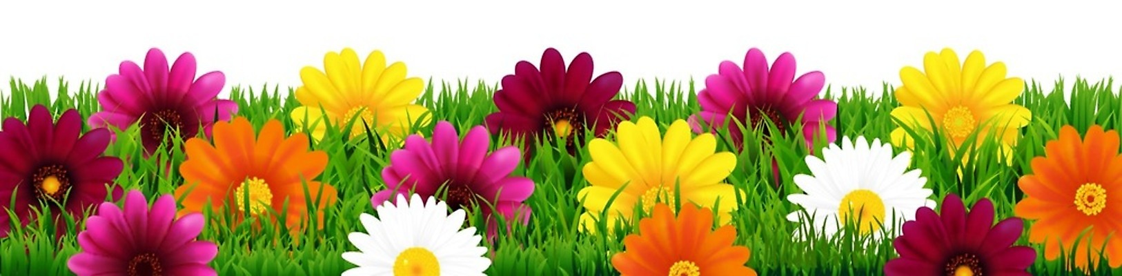 EPS 해외이미지 식물 꽃잎 꽃 분홍색 잎 꽃무늬 오렌지 일러스트 자연 해바라기 국화 빨간색 여름 컬러풀 노란색 보라색 봄 활발 벚꽃 흰색 신선 그룹 변화 자르기 수집 데이지 고립 섞기 많음 해외202004 해외일러스트 계절 컬러 컨셉 무늬 과일 모션 생태계 파일형식 벡터 이미지허브