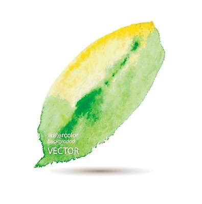 EPS 해외이미지 식물 일러스트 붓터치 나뭇잎 수채화 사람없음 그림 번짐 해외202004 해외일러스트 잎 파일형식 벡터 효과 이미지허브