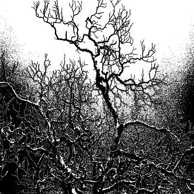 EPS 해외이미지 나무 식물 계절 공원 길 잎 일러스트 자연 풍경 야외 목재 여름 빛 햇빛 환경 맑음 침묵 산책 꿈 광선 나뭇가지 숲 오솔길 내추럴 자취 해외202004 해외일러스트 공공시설 재료 날씨 휴식 태양 소리 생태계 파일형식 벡터 이미지허브