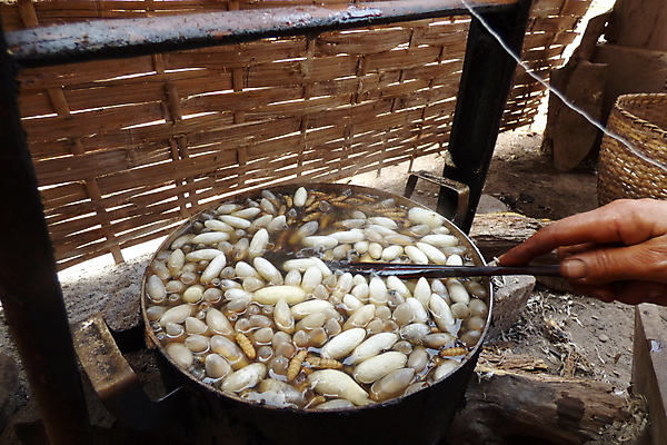 포토 JPG 해외이미지 전통 아시아 곤충 농업 요리 사람없음 직물 냄비 실크 라오스 끓이기 옛날 핸드메이드 해외202004 해외포토 동물 나라 산업 모션 솥 파일형식 이미지허브