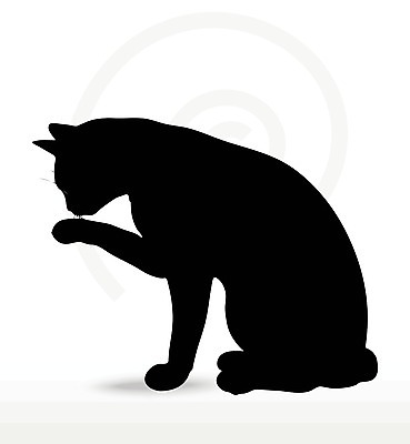 EPS 해외이미지 모양 동물 실루엣 포즈 일러스트 포유류 자연 그림자 사람없음 그래픽 반려동물 검은색 고양이 호랑이 사자 스케치 흰배경 윤곽 표범 고립 엘리먼트 재규어 스라소니 해외202004 해외일러스트 컬러 백그라운드 촬영기법 미술 흰색 생태계 파일형식 벡터 이미지허브