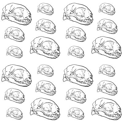 EPS 해외이미지 동물 디자인 선 백그라운드 이동 패턴 일러스트 미술 그래픽 장식 머리 할로윈 그림 해골모형 해외202004 해외일러스트 컨셉 무늬 문화예술 신체부위 모형 파일형식 벡터 이미지허브