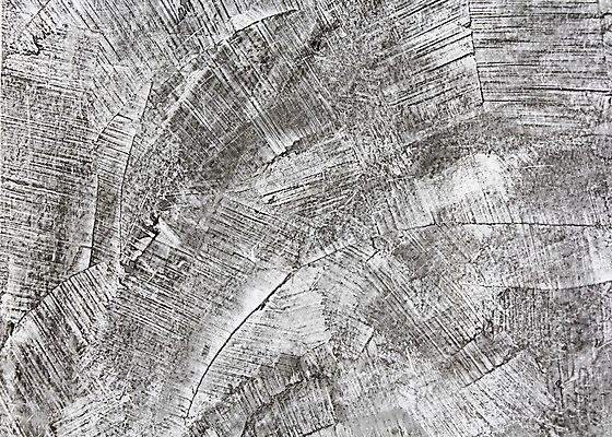 포토 JPG 해외이미지 외관 벽 백그라운드 날씨 사람없음 건물 검은색 어둠 손상 회색 수확 바위 시골 얼룩 거친 균열 질감 시멘트 옛날 콘크리트 해외202004 해외포토 건축물 컬러 컨셉 농업 모션 돌_바위 파일형식 이미지허브