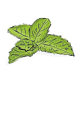 EPS 해외이미지 식물 음식 백그라운드 잎 일러스트 재료 자연 건강 초록색 여름 약 정원 봄 흰색 신선 민트 허브 유기농 원예 향기 아로마 내추럴 고립 해외202004 스피아민트 해외일러스트 웰빙 계절 컬러 의학 취미 생태계 냄새 파일형식 벡터 이미지허브