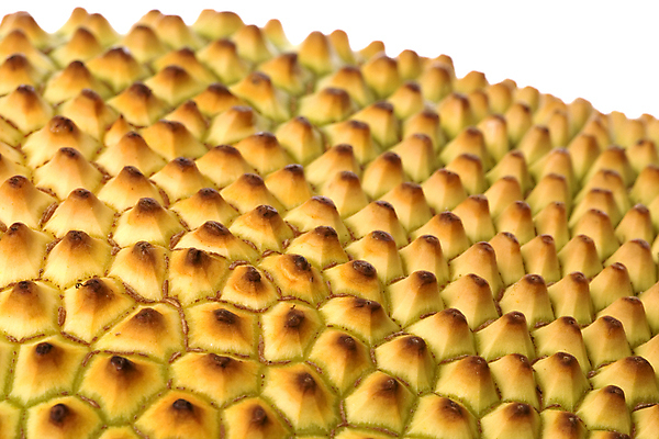 포토 JPG 해외이미지 음식 백그라운드 농업 다이어트 과일 자연 디저트 건강 사람없음 초록색 신선 닫기 달콤 맛 피부 질감 고립 숙성 해외202004 해외포토 산업 컬러 컨셉 모션 신체부위 생태계 파일형식 이미지허브