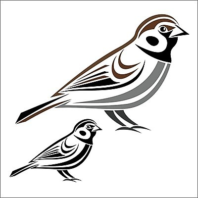 EPS 해외이미지 동물 척추동물 1 응시 백그라운드 일러스트 조류 주택 서기 갈색 흰색 떨어짐 스케치 심볼 참새 길이 고립 혼자 해외202004 해외일러스트 시선 컬러 컨셉 모션 미술 건물 파일형식 벡터 이미지허브