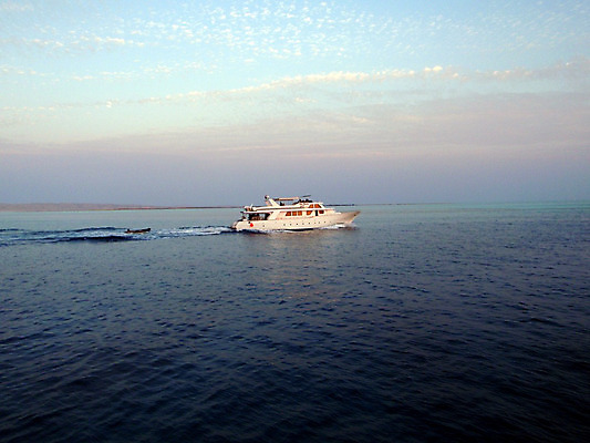 포토 JPG 해외이미지 바다 자연 휴식 이집트 풍경 사람없음 빨간색 물 여름 파란색 산책 보트 해외202004 해외포토 자연요소 계절 컬러 컨셉 배_교통 아프리카 생태계 파일형식 이미지허브