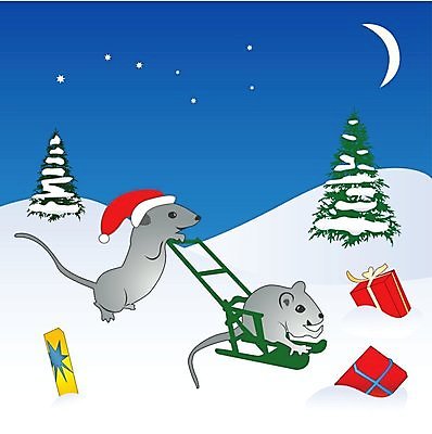 EPS 해외이미지 나무 별 길 백그라운드 크리스마스 2 겨울 일러스트 곰 하늘 휴가 새해 선물 미술 목재 가로 빨간색 초록색 노란색 별자리 달 나뭇가지 축하 신용카드 야간 쥐 큼 언덕 활 썰매 짐싸기 자취 제설기 해외202004 해외일러스트 자연요소 식물 동물 계절 기념일 컬러 컨셉 재료 포유류 문화예술 금융 설치류 크기 제설 파일형식 벡터 이미지허브