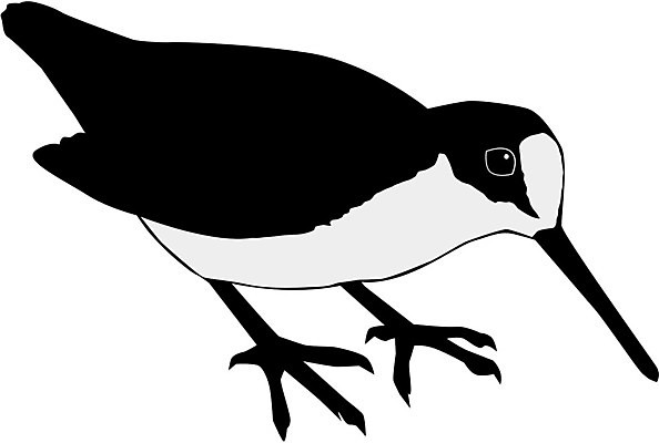 EPS 해외이미지 모양 동물 디자인 실루엣 포즈 백그라운드 날개 일러스트 조류 형상 미술 검은색 자유 흰색 문신 깃털 사인 그림 꼬리 스타일 해외202004 해외일러스트 컬러 컨셉 문화예술 촬영기법 파일형식 벡터 이미지허브