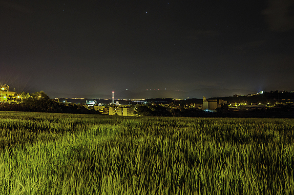 포토 JPG 해외이미지 응시 유럽 건축양식 하늘 전등 거리 풍경 사람없음 야외 건물 파란색 도시풍경 도시 스페인 야간 장면 타운 리빙 해외202004 해외포토 자연요소 건축물 시선 건축 나라 컬러 조명 파일형식 이미지허브