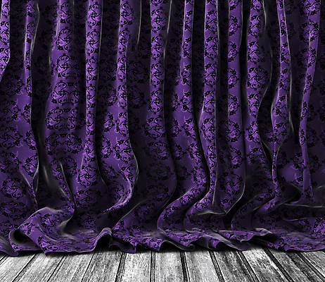 포토 JPG 해외이미지 템플릿 배너 꽃 백그라운드 꽃무늬 패턴 일러스트 추상 바닥 주택 미술 이벤트 사람없음 목재 장식 빛 검은색 어둠 공연 무대 수확 직물 커튼 클래식 우아함 극장 묘사 질감 복고 쇼 구김 옛날 오페라 벨벳 해외202004 해외포토 나무 식물 컬러 컨셉 무늬 농업 재료 모션 문화예술 건물 실크 파일형식 이미지허브