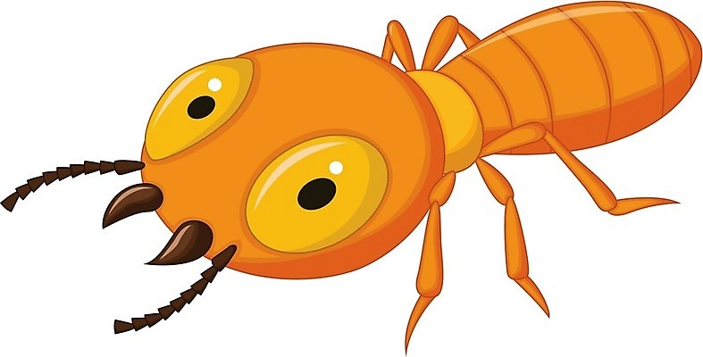 EPS 해외이미지 클립아트 동물 캐릭터 야생동물 곤충 절지류 일러스트 자연 그래픽 갈색 흰색 해충 벌레 만화 코믹 병정 기생충 기어가기 고립 마스코트 캐리커처 못생김 해외202004 해외일러스트 일러캐릭터 컬러 모션 바이러스 그림 생태계 파일형식 벡터 이미지허브