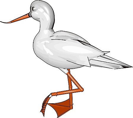 EPS 해외이미지 신체 일러스트 조류 기술 어류 물 흰색 왜가리 깃털 그림 부리 해외202004 해외일러스트 자연요소 동물 컬러 수중동물 파일형식 벡터 이미지허브