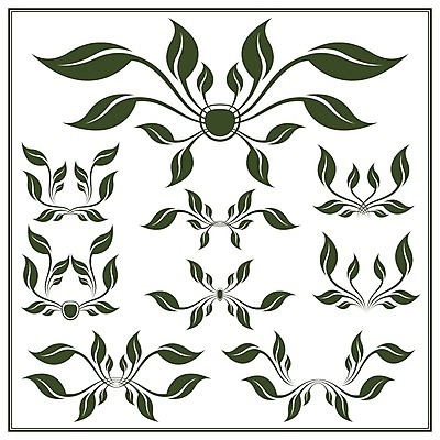 EPS 해외이미지 모양 식물 디자인 꽃 실루엣 잎 꽃무늬 곡선 일러스트 자연 프레임 미술 그래픽 장식 세트 검은색 수확 소용돌이 화려 우아함 두루마리 수집 심볼 복고 엘리먼트 스타일 해외202004 해외일러스트 선 컬러 컨셉 무늬 농업 문화예술 촬영기법 회오리 생태계 파일형식 벡터 이미지허브