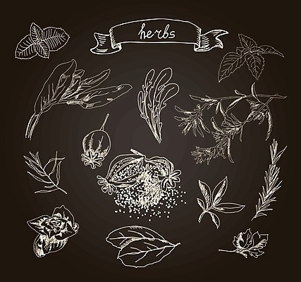 EPS 해외이미지 식물 템플릿 손 디자인 꽃잎 꽃 음식 백그라운드 잎 꽃무늬 밭 일러스트 자연 요리 미술 장식 여름 주방 정원 수확 벚꽃 나뭇가지 신용카드 화려 개화 맛 낙서 인쇄 스케치 민트 허브 그림 질감 복고 냄새 내추럴 해외202004 해외일러스트 나무 계절 컨셉 무늬 농업 문화예술 신체부위 금융 생태계 파일형식 벡터 이미지허브