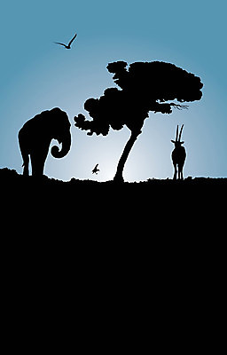 EPS 해외이미지 나무 동물 실루엣 일러스트 아프리카 조류 코끼리 파란색 태양 일출 검은색 새벽 흰색 사파리 영양 해외202004 해외일러스트 자연요소 식물 나라 컬러 포유류 촬영기법 노을 파일형식 벡터 이미지허브