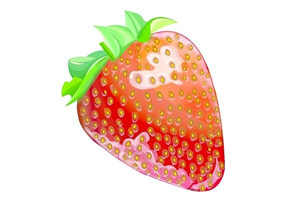 EPS 해외이미지 모양 라이프스타일 디자인 열매 음식 백그라운드 잎 2 다이어트 과일 일러스트 자연 딸기 디저트 건강 씨앗 빨간색 초록색 여름 컬러풀 활발 성장 흰색 신선 그룹 시장 달콤 맛 먹기 가득함 묘사 오브젝트 상쾌 유기농 날것 내추럴 고립 숙성 월귤 해외202004 해외일러스트 식물 웰빙 계절 감정 컬러 컨셉 모션 생활 생태계 파일형식 벡터 이미지허브