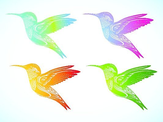 EPS 해외이미지 동물 디자인 계절 야생동물 2 날개 일러스트 자연 조류 하늘 열대 동물원 경사 목재 장식 초록색 여름 보라색 봄 숲 작음 수분 깃털 속도 만족 싱글 그림 꼬리 부리 꿀 고립 벌새 이국적 파라다이스 해외202004 해외일러스트 나무 감정 컬러 재료 크기 생태계 파일형식 벡터 이미지허브