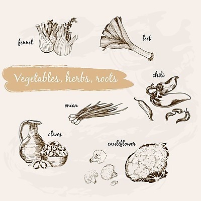 EPS 해외이미지 디자인 음식 다이어트 채소 일러스트 고추 양파 파프리카 건강 요리 그래픽 장식 정원 수확 성장 신선 그리기 맛 낙서 수집 허브 그림 에코 올리브 뿌리 손그림 부추 스쿼시 바이오 엘리먼트 옛날 채식주의자 회향 비건 해외202004 해외일러스트 식물 열매 스포츠 컨셉 농업 모션 구기 환경 채식 파일형식 벡터 이미지허브