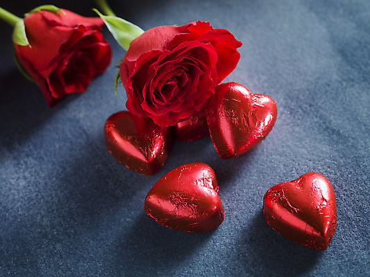 포토 JPG 해외이미지 회색배경 발렌타인데이 사람없음 하이앵글 장미 초콜릿 하트 오브젝트 해외포토 모양 꽃 뷰포인트 백그라운드 데이이벤트 디저트 회색 파일형식 이미지허브