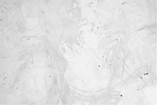 EPS 해외이미지 종이 벽 백그라운드 패턴 일러스트 건축양식 벽지 표면 날씨 추상 바닥 야외 내부 건물 우주 페인트 공백 방 회색 수확 바위 흰색 도시 얼룩 거친 부식 질감 복고 시멘트 고체 구식 그런지 석고 옛날 콘크리트 해외202004 해외일러스트 건축물 건축 컬러 무늬 농업 돌_바위 파일형식 벡터 이미지허브