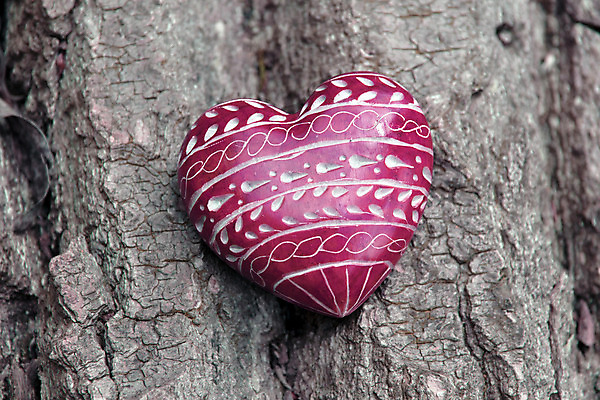 포토 JPG 해외이미지 나무 디자인 결혼 패턴 자연 결혼식 발렌타인데이 선물 사랑 사람없음 목재 빨간색 초록색 우정 바위 하트 생일 메시지 심볼 사인 엽서 나무껍질 수목 어머니의날 해외202004 해외포토 모양 식물 기념일 감정 컬러 무늬 재료 데이이벤트 이벤트 친구 껍질 돌_바위 편지 생태계 미국문화 파일형식 이미지허브