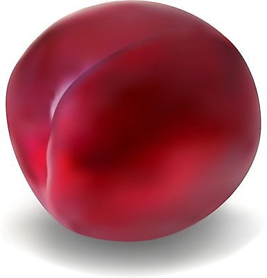 EPS 해외이미지 음식 백그라운드 다이어트 과일 일러스트 자연 실내 건강 빨간색 보라색 흰색 신선 달콤 맛 자르기 오브젝트 싱글 상쾌 유기농 날것 부드러움 자두 내추럴 고립 숙성 채식주의자 해외202004 해외일러스트 웰빙 감정 컬러 컨셉 모션 내부 감각 생태계 채식 파일형식 벡터 이미지허브