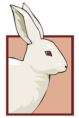 EPS 해외이미지 동물 행복 일러스트 포유류 휴가 부활절 털 반려동물 갈색 달러 흰색 토끼 달콤 설치류 모피 귀 솜털 고립 기르기 해외202004 해외일러스트 기념일 감정 컬러 돈 신체부위 맛 돌봄 파일형식 벡터 이미지허브