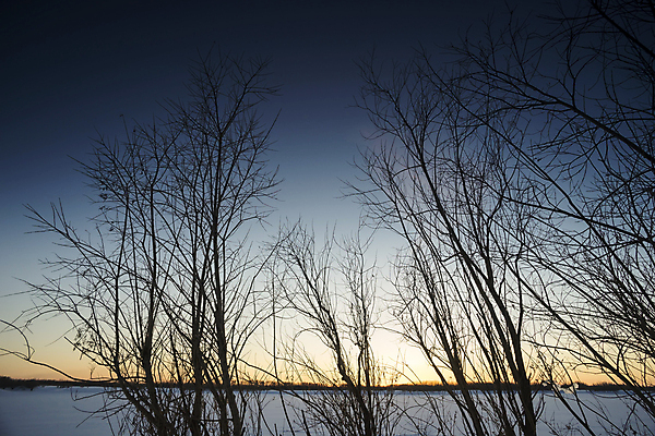 포토 JPG 해외이미지 나무 백그라운드 겨울 오렌지 자연 하늘 풍경 사람없음 파란색 빛 컬러풀 태양 노란색 맑음 일몰 추위 광선 저녁 그림 서리 러시아 북쪽 반투명 시베리아 수평선 해외202004 해외포토 자연요소 식물 계절 유럽 컬러 과일 날씨 노을 야간 방향 생태계 파일형식 이미지허브