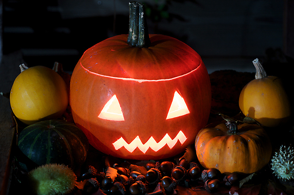 포토 JPG 해외이미지 계절 촛불 호박 사람없음 빛 놀람 할로윈 가을 무서움 추수감사절 광 해외202004 해외포토 감정 기독교 채소 초 표정 파일형식 이미지허브