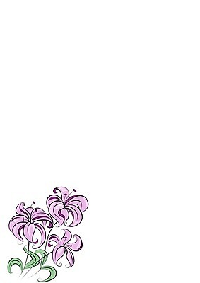 EPS 해외이미지 꽃 분홍색 꽃다발 백그라운드 잎 밭 일러스트 추상 3 장식 초록색 여름 보라색 봄 흰색 그리기 개화 제비꽃 질감 꽃가루 고립 꽃수술 해외202004 해외일러스트 식물 계절 컬러 무늬 농업 모션 가루 파일형식 벡터 이미지허브