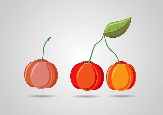 EPS 해외이미지 식물 손 디자인 열매 음식 잎 다이어트 과일 일러스트 재료 자연 건강 미술 빨간색 주스 수확 흰색 체리 달콤 스케치 심볼 오브젝트 에코 유기농 복고 날것 윤곽 손그림 판화 내추럴 고립 바이오 숙성 엘리먼트 채식주의자 플로리다 해외202004 해외일러스트 웰빙 음료 컬러 농업 문화예술 신체부위 환경 미국 맛 생태계 채식 파일형식 벡터 이미지허브