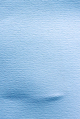 포토 JPG 해외이미지 디자인 꽃 종이 백그라운드 잎 꽃무늬 패턴 자연 벽지 표면 추상 문구용품 창조 미술 사람없음 장식 컬러풀 손상 수확 인사 신용카드 수집 유기농 질감 문서 모음 섬유 시트 내추럴 그런지 옛날 핸드메이드 해외202004 해외포토 식물 웰빙 컬러 컨셉 무늬 농업 문화예술 한글 금융 직물 예절 오브젝트 생태계 파일형식 이미지허브