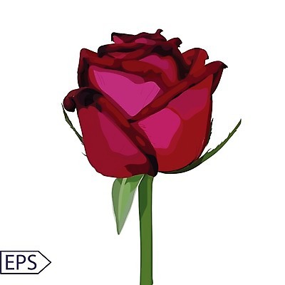 EPS 해외이미지 식물 디자인 배너 꽃잎 꽃 실루엣 줄기 분홍색 꽃다발 나비 결혼 백그라운드 잎 꽃무늬 패턴 일러스트 자연 벽지 추상 프레임 사랑 미술 동양인 장식 빨간색 초록색 여름 컬러풀 장미 유행 봄 수확 벚꽃 흰색 하트 질감 복고 윤곽 그런지 해외202004 해외일러스트 모양 계절 감정 컬러 곤충 무늬 농업 문화예술 촬영기법 인종 이벤트 생태계 파일형식 벡터 이미지허브