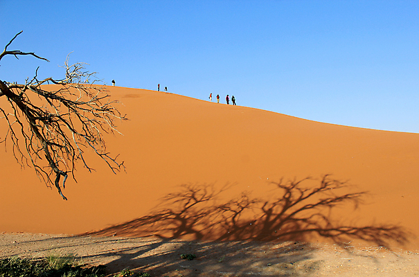 포토 JPG 해외이미지 공원 모래 여행 컨셉 오렌지 아프리카 자연 하늘 건조 사람 풍경 사람없음 야외 파란색 모래사장 여행객 환경 맑음 산책 트래킹 하이킹 사막 뜨거움 황무지 땅 모래언덕 산등성이 오르기 지역 가뭄 내추럴 나미비아 해외202004 해외포토 공공시설 나라 바다 컬러 과일 모션 레저 날씨 휴식 산 언덕 생태계 남아프리카 파일형식 이미지허브