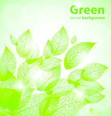 EPS 해외이미지 나무 식물 디자인 배너 포스터 백그라운드 잎 꽃무늬 패턴 일러스트 자연 바람 추상 미술 초록색 여름 우주 환경 봄 활발 성장 덮개 가을 나뭇가지 신선 선택 숲 에코 질감 내추럴 생태학 해외202004 해외일러스트 자연요소 계절 교육 꽃 컬러 컨셉 무늬 날씨 문화예술 뚜껑 생태계 파일형식 벡터 이미지허브