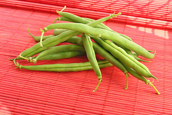 포토 JPG 해외이미지 줄 음식 농업 다이어트 채소 콩 건강 요리 사람없음 초록색 샐러드 신선 다발 먹기 유기농 날것 내추럴 프랑스어 고립 생식 채식주의자 해외202004 해외포토 문자 웰빙 산업 컬러 모션 곡류 채식 파일형식 이미지허브