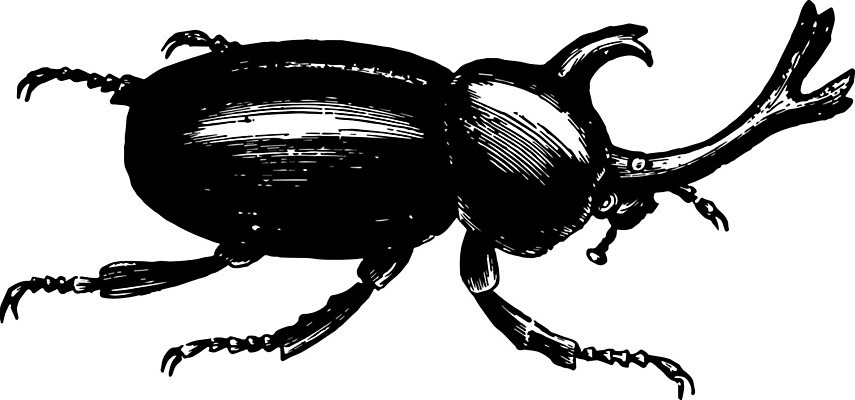 EPS 해외이미지 선 일러스트 미술 견본 검은색 수확 흰색 그림 판화 인치 해외202004 해외일러스트 컬러 농업 문화예술 파일형식 벡터 이미지허브