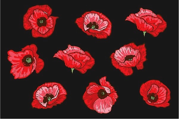 EPS 해외이미지 식물 디자인 배너 계절 꽃잎 꽃 포스터 꽃다발 백그라운드 꽃무늬 밭 일러스트 자연 휴가 내부 그래픽 장식 빨간색 초록색 세트 정원 검은색 봄 벚꽃 인사 신용카드 개화 4월 5월 다발 그림 양귀비 내추럴 고립 엘리먼트 해외202004 해외일러스트 컬러 무늬 농업 금융 예절 날짜 생태계 파일형식 벡터 이미지허브