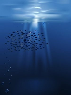 EPS 해외이미지 바다 일러스트 어류 물 파란색 평화 수중 거품 깊이 해외202004 해외일러스트 자연요소 컬러 컨셉 수중동물 파일형식 벡터 이미지허브